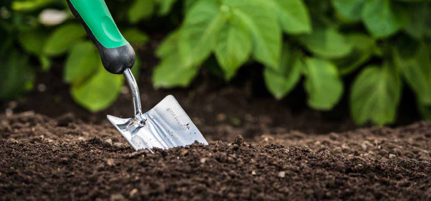 Preparing Soil For New Turf in Penrith & Sydney D & V Turf Supplies