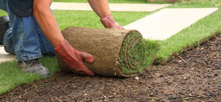 turf_installation_sydney