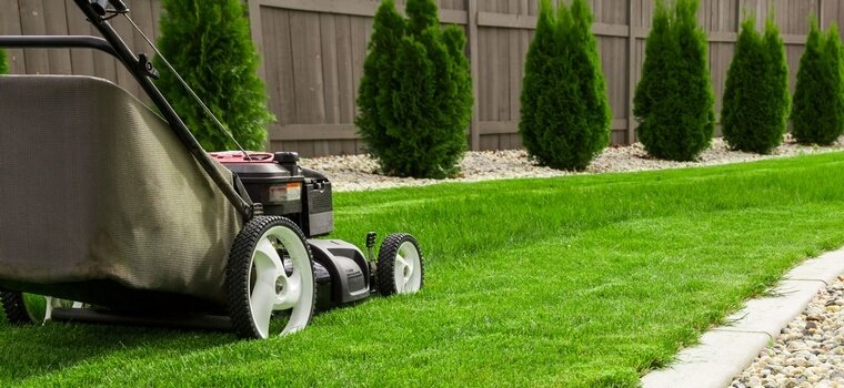 fertilising_your_lawn