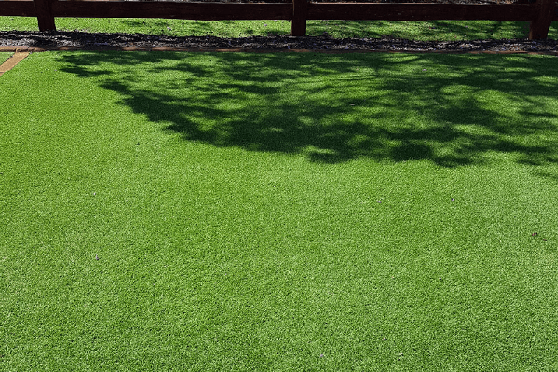 Wintergreen Couch Turf Penrith