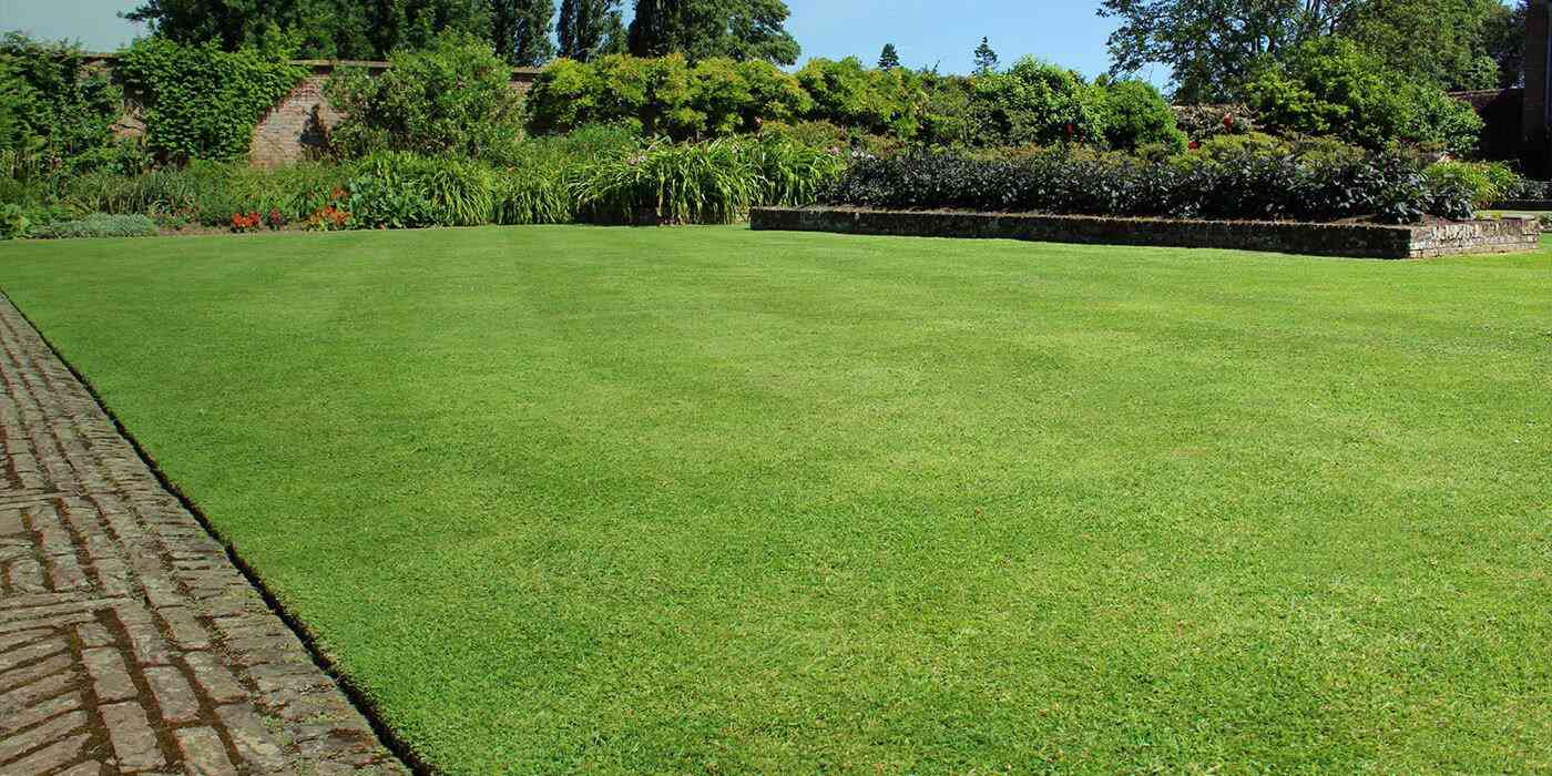 Penrith Sydney S Turf Supplier Turf Specialist D V Turf