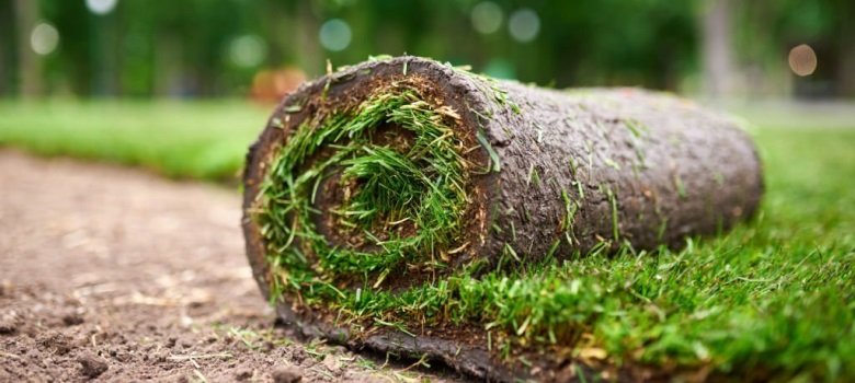 How to choose the best turf supplier in Penrith
